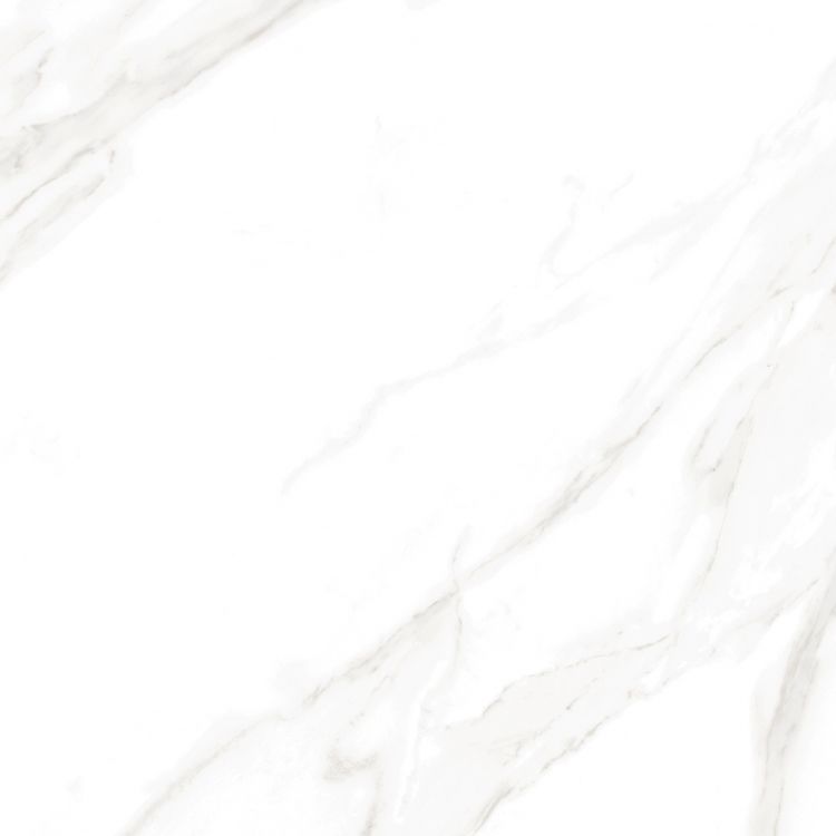 EC Calacatta Gold Matte 24 x 24